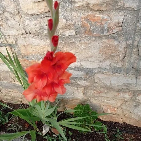 Apartman Rosemary